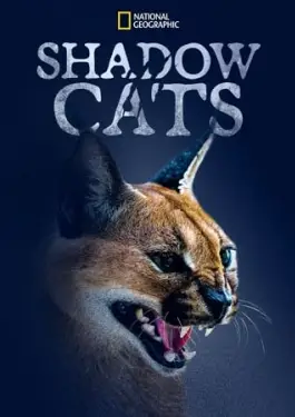 Shadow Cats (2022)